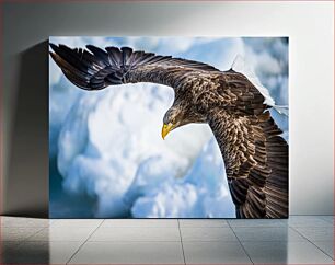 Πίνακας, Soaring Eagle Over Snowy Landscape Πετώντας αετός πάνω από το χιονισμένο τοπίο