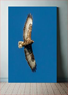 Πίνακας, Soaring Hawk Against Blue Sky Soaring Hawk Against Blue Sky