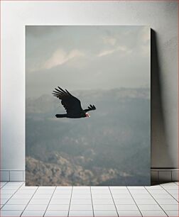 Πίνακας, Soaring Vulture Πετώντας Γύπας