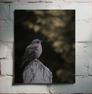 Πίνακας, Solitary Bird on a Fence Post Μοναχικό πουλί σε στύλο φράχτη