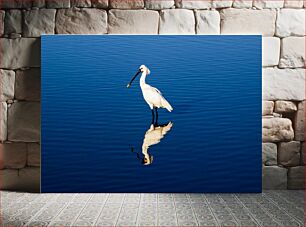 Πίνακας, Solitary Bird Reflection Αντανάκλαση μοναχικού πουλιού