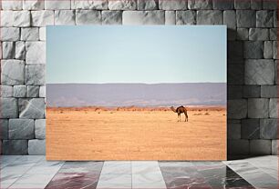 Πίνακας, Solitary Camel in Desert Landscape Μοναχική καμήλα σε έρημο τοπίο