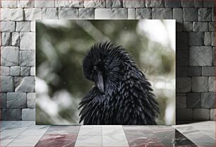 Πίνακας, Solitary Crow in Focus Μοναχικό κοράκι στην εστίαση