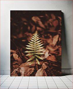 Πίνακας, Solitary Fern in Autumn Forest Μοναχική φτέρη στο φθινοπωρινό δάσος