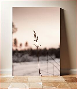 Πίνακας, Solitary Grass in Winter Μοναχικό γρασίδι το χειμώνα