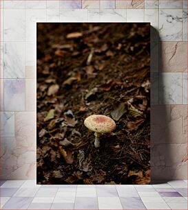 Πίνακας, Solitary Mushroom in Autumn Forest Μοναχικό μανιτάρι στο φθινοπωρινό δάσος