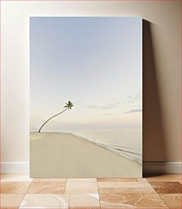 Πίνακας, Solitary Palm on a Tranquil Beach Μοναχικός φοίνικας σε μια ήσυχη παραλία