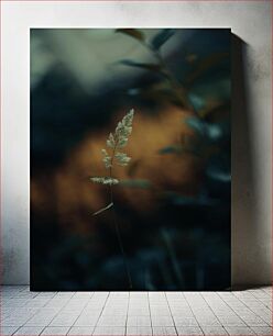 Πίνακας, Solitary Plant in Focus Μοναχικό φυτό στο επίκεντρο