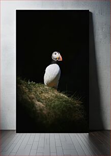 Πίνακας, Solitary Puffin Μοναχικό Πούφι