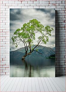 Πίνακας, Solitary Tree by the Lake Μοναχικό Δέντρο δίπλα στη Λίμνη