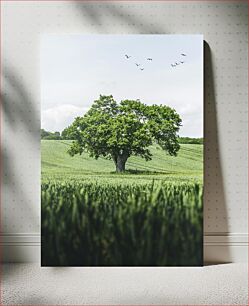 Πίνακας, Solitary Tree in a Field Μοναχικό δέντρο σε ένα χωράφι