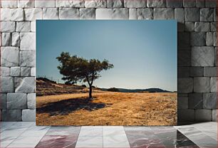 Πίνακας, Solitary Tree in Arid Landscape Μοναχικό δέντρο σε άνυδρο τοπίο