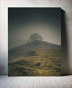 Πίνακας, Solitary Tree on a Foggy Hill Μοναχικό δέντρο σε έναν ομιχλώδη λόφο