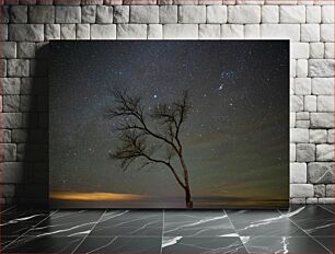 Πίνακας, Solitary Tree Under Starry Sky Μοναχικό δέντρο κάτω από τον έναστρο ουρανό