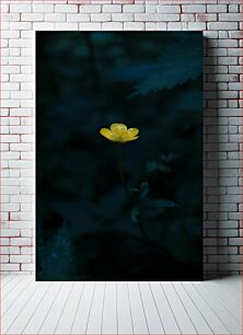 Πίνακας, Solitary Yellow Flower in the Dark Μοναχικό κίτρινο λουλούδι στο σκοτάδι