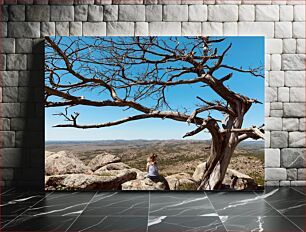 Πίνακας, Solitude under the tree Μοναξιά κάτω από το δέντρο