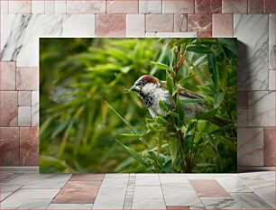 Πίνακας, Sparrow in the Greenery Σπουργίτι στο πράσινο