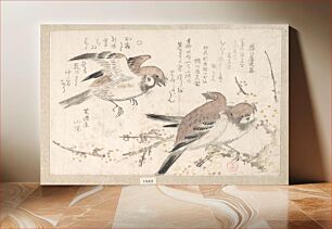 Πίνακας, Sparrows and Plum Blossoms by Kubo Shunman