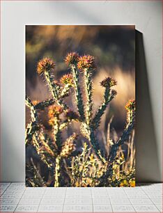 Πίνακας, Spiny Cacti in the Wild Αγκαθωτοί κάκτοι στην άγρια ​​φύση