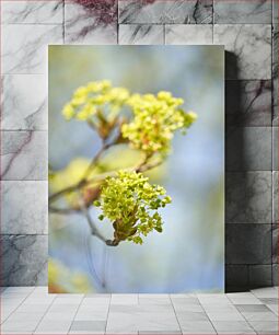 Πίνακας, Spring Bloom Άνοιξη Bloom