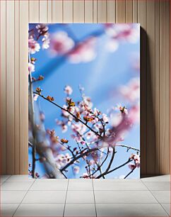 Πίνακας, Spring Blossoms Ανοιξιάτικα Άνθη