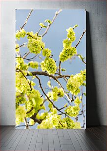 Πίνακας, Spring Blossoms Ανοιξιάτικα άνθη