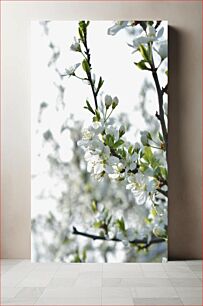 Πίνακας, Spring Blossoms Ανοιξιάτικα άνθη