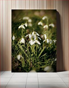 Πίνακας, Spring Snowdrops Ανοιξιάτικες χιονοστιβάδες