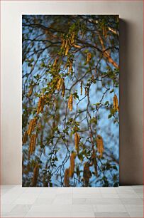 Πίνακας, Springtime Birch Catkins Άνοιξη Birch Catkins