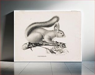 Πίνακας, Squirrel, 1829, Wilhelm von Wright