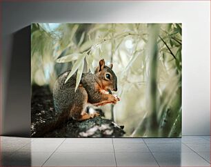 Πίνακας, Squirrel Amidst Leaves Σκίουρος Ανάμεσα σε Φύλλα