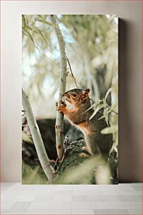 Πίνακας, Squirrel Climbing a Tree Σκίουρος που σκαρφαλώνει σε ένα δέντρο