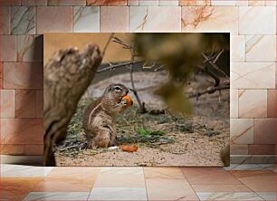 Πίνακας, Squirrel Eating Fruit Σκίουρος Τρώει Φρούτα