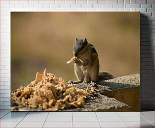 Πίνακας, Squirrel Eating Σκίουρος που τρώει