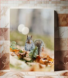 Πίνακας, Squirrel in Autumn Leaves Σκίουρος στα Φθινοπωρινά Φύλλα