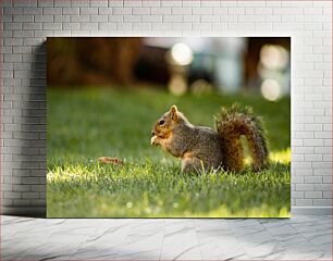 Πίνακας, Squirrel in Grass Σκίουρος στο γρασίδι