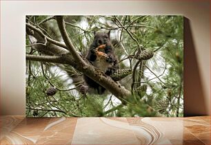 Πίνακας, Squirrel in Pine Tree Σκίουρος στο Πεύκο