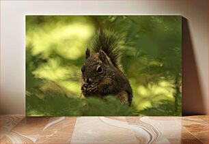 Πίνακας, Squirrel in the Forest Σκίουρος στο Δάσος