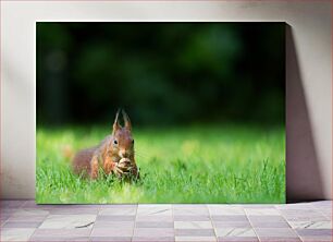 Πίνακας, Squirrel in the Grass Σκίουρος στο γρασίδι
