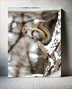 Πίνακας, Squirrel in the Snowy Forest Σκίουρος στο χιονισμένο δάσος