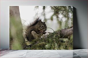 Πίνακας, Squirrel in the Tree Σκίουρος στο δέντρο