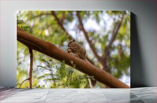 Πίνακας, Squirrel on a Branch Σκίουρος σε ένα κλαδί