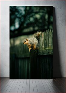 Πίνακας, Squirrel on a Fence Σκίουρος σε φράχτη