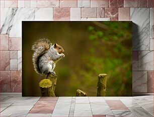 Πίνακας, Squirrel on a Tree Branch Σκίουρος σε κλαδί δέντρου