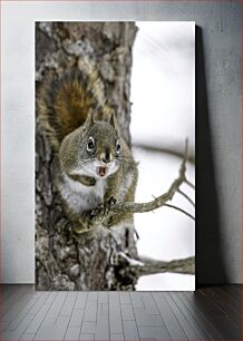 Πίνακας, Squirrel on a Tree Σκίουρος σε ένα δέντρο