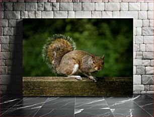 Πίνακας, Squirrel on a Wooden Rail Σκίουρος σε ξύλινη ράγα