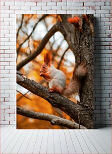 Πίνακας, Squirrels in Autumn Σκίουροι το Φθινόπωρο