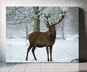 Πίνακας, Stag in Snowy Forest Ελάφι στο Χιονισμένο Δάσος