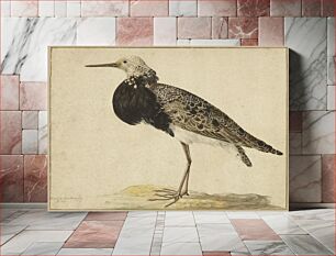 Πίνακας, Standing Ruff; Gerardus van Veen (Dutch, about 1620 - about 1683)