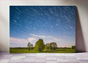 Πίνακας, Star Trails Over Trees Αστρικά μονοπάτια πάνω από δέντρα